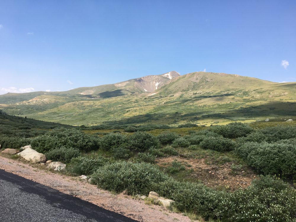 Mount Evans Loop (13)