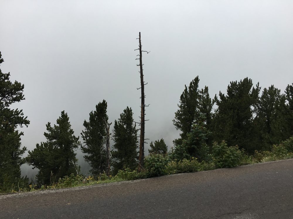Mount Evans Loop (26)