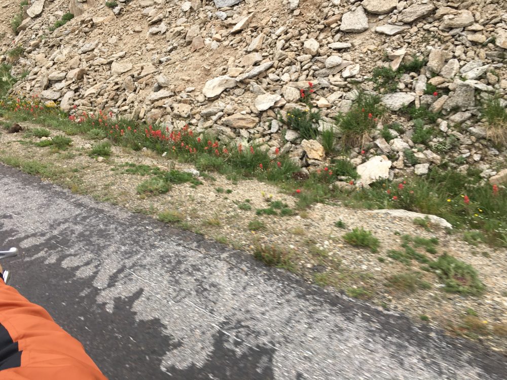 Mount Evans Loop (32)