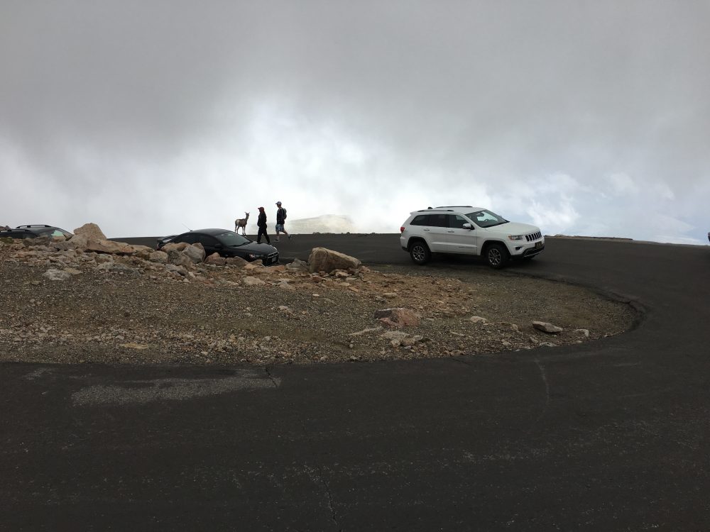 Mount Evans Loop (61)