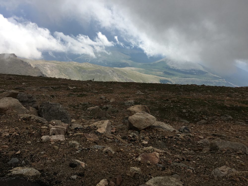 Mount Evans Loop (65)