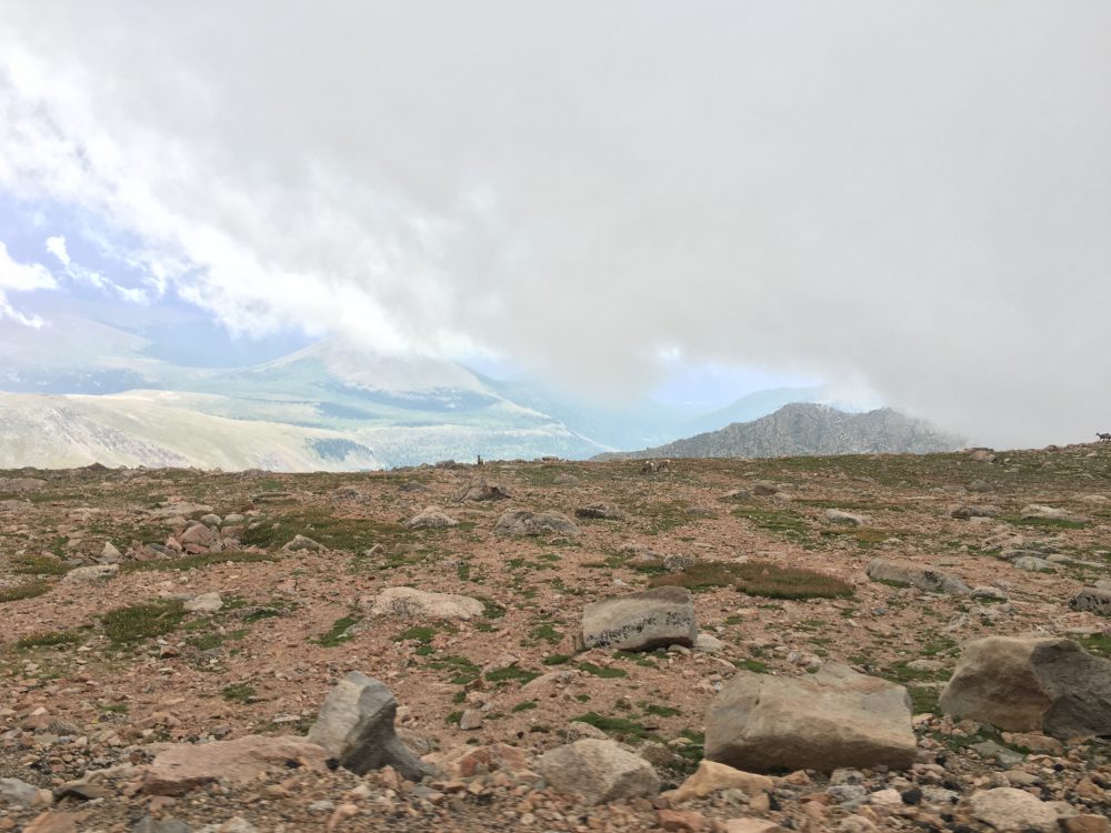 Mount Evans Loop (66)