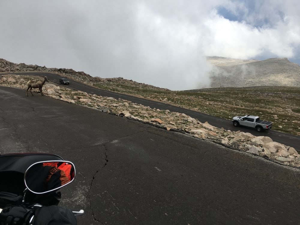 Mount Evans Loop (69)