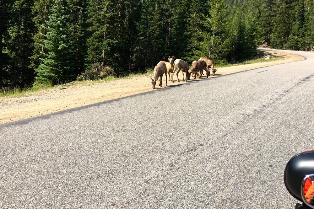Mount Evans Loop (7)