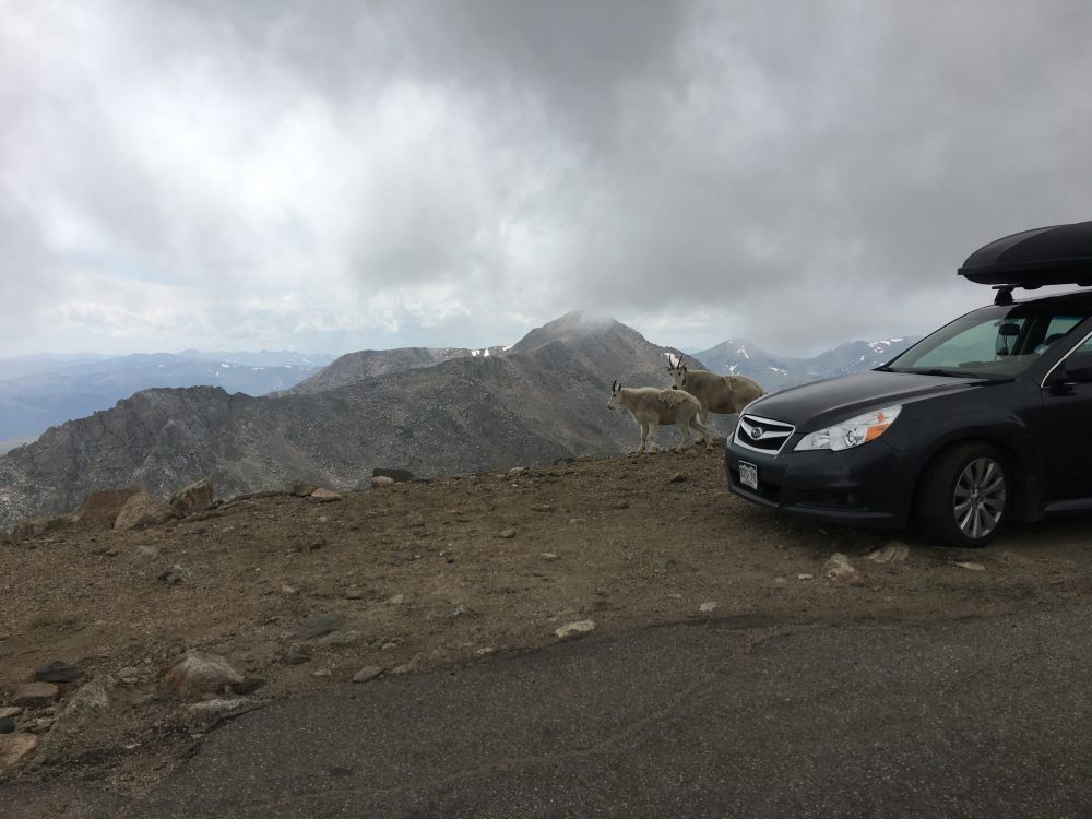 Mount Evans Loop (70)